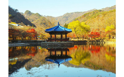 정읍 내장산 우화정과 단풍길........