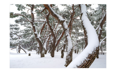 첫 눈오는 날
