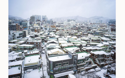 광주 첫눈.