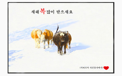 세해 복많이밭으세요.