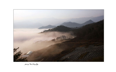 양백산에서