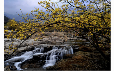 산동마을