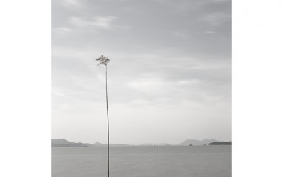 바다 이야기