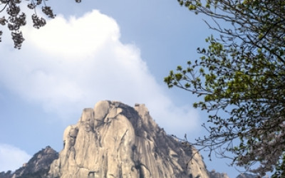 도봉산 자운봉 산벗꽃 암벽 구름 산 소나무