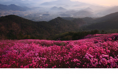 산,그 아름다운 봄날