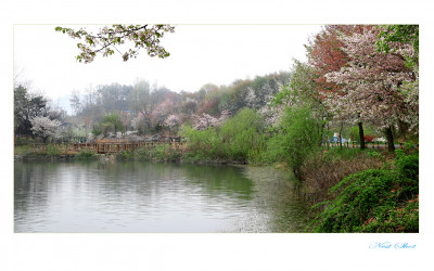 충주 호암지7