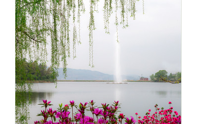 충주 호암지8
