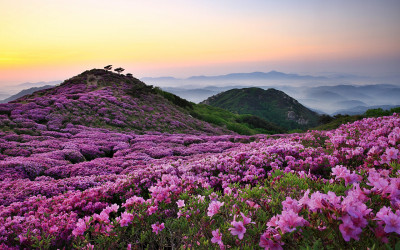  황매산의아침....