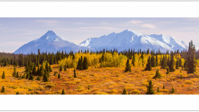 Yukon