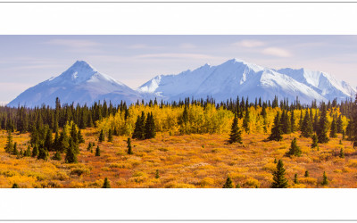 Yukon