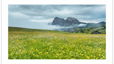 Alpe di Siusi