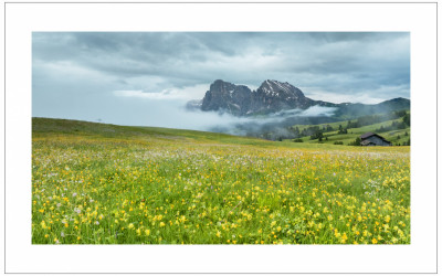 Alpe di Siusi
