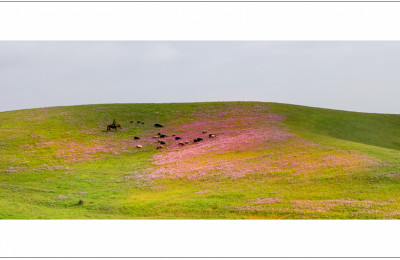 Image 19630