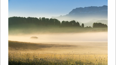 Alpe Siusi