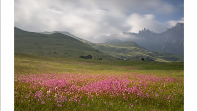 Alpe sisui