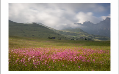 Alpe sisui