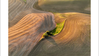 2025' Palouse
