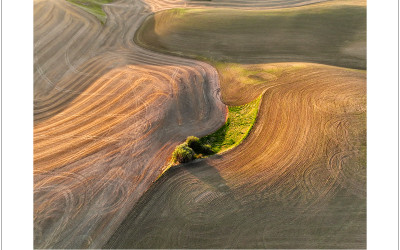 2025' Palouse