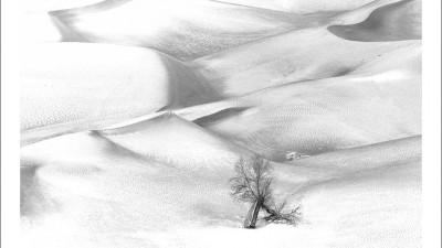 타클라마칸 사막 겨울편 #13