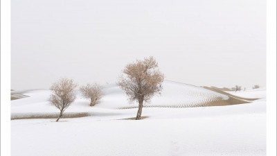 타크라마칸 사막 겨울편 #11