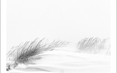 아이슬란드 내륙