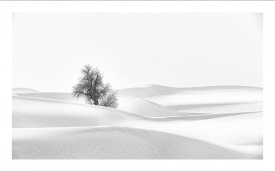 타클라마칸 사막 겨울편#20