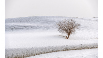 타크라마칸 사막 겨울편 #3