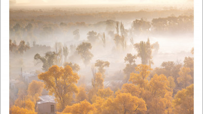 타클라마칸 사막 가을편#1