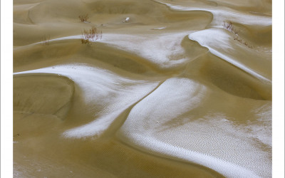 타크라마칸 사막 겨울편 #6