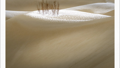 타크라마칸 사막 겨울편 #1