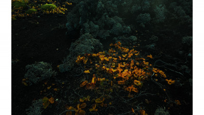 Iceland Night