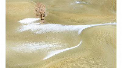 타크라마칸사막 겨울편#25