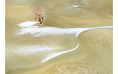 타크라마칸사막 겨울편#25