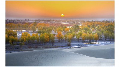 타클라마칸 사막 가을편#12