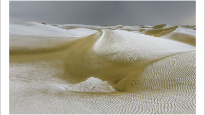 타크라마칸 사막 겨울편 #5