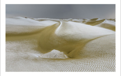 타크라마칸 사막 겨울편 #5