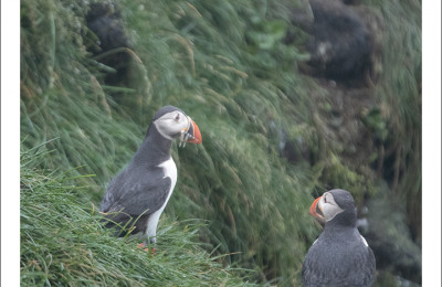 Image 20265