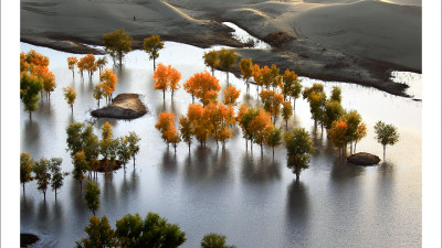 타클라마칸 사막 가을편#4