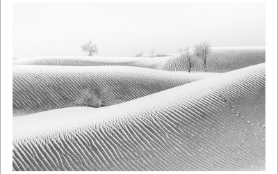 타클라마칸 사막 겨울편 #14