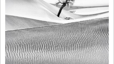 타크라마칸 사막 겨울편 #9
