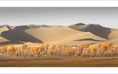 타클라마칸 사막 가을편#5