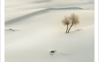 타크라마칸사막 겨울편#24