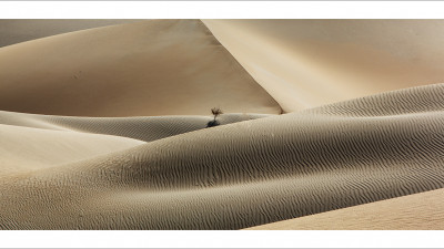 타클라마칸 사막 가을편#7