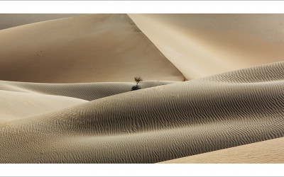 타클라마칸 사막 가을편#7