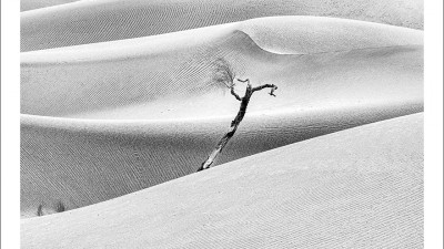 타크라마칸 사막 겨울편 #10