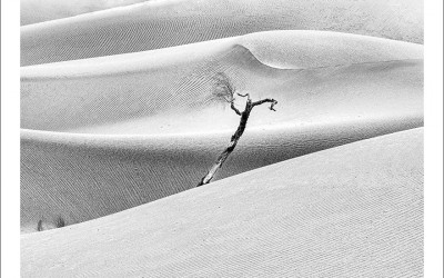 타크라마칸 사막 겨울편 #10