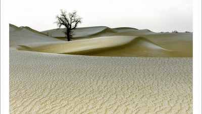 타클라마칸 사막 겨울편 #15