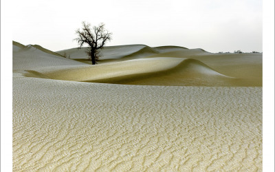 타클라마칸 사막 겨울편 #15
