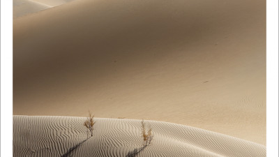 타클라마칸 사막 가을편#9
