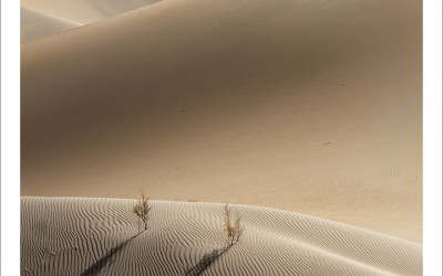 타클라마칸 사막 가을편#9